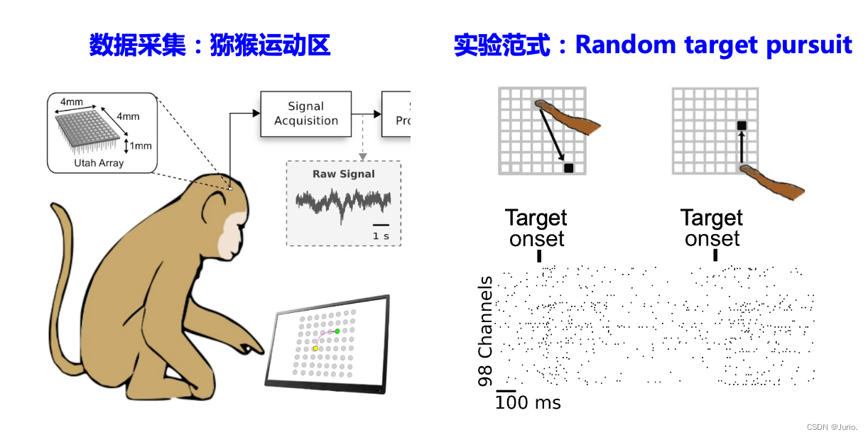 公开数据集：灵长类动物多通道感觉运动皮层电生理学的研究