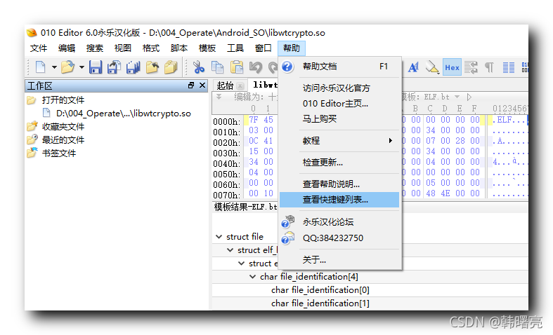 【开发环境】010 Editor 工具 ( 工具下载 | 二进制文件分析模板模板安装 | 快捷键查看与设置 )_010editor在虚拟机怎么 ...