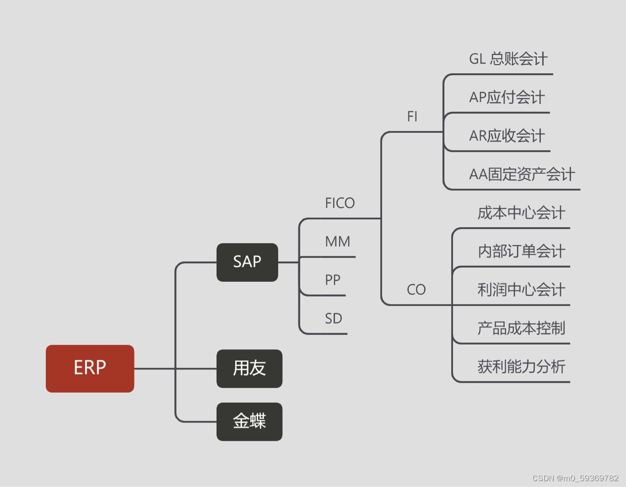 FICO入门1:什么是FICO?-CSDN博客