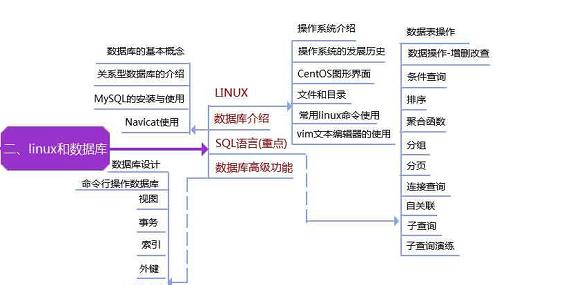 软件测试工程师女生_能进阿里的程序员都很强吗