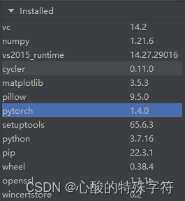 pycharm中显示有pytorch包