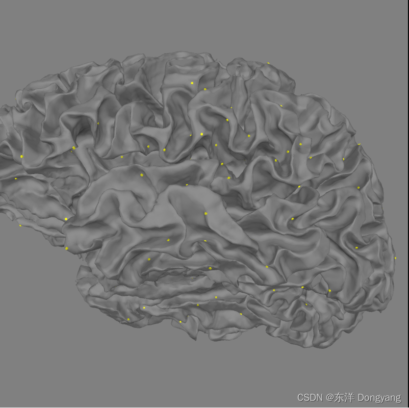 Python科学计算包MNE——头模型和前向计算