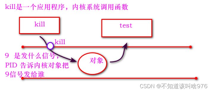 kill使用过程