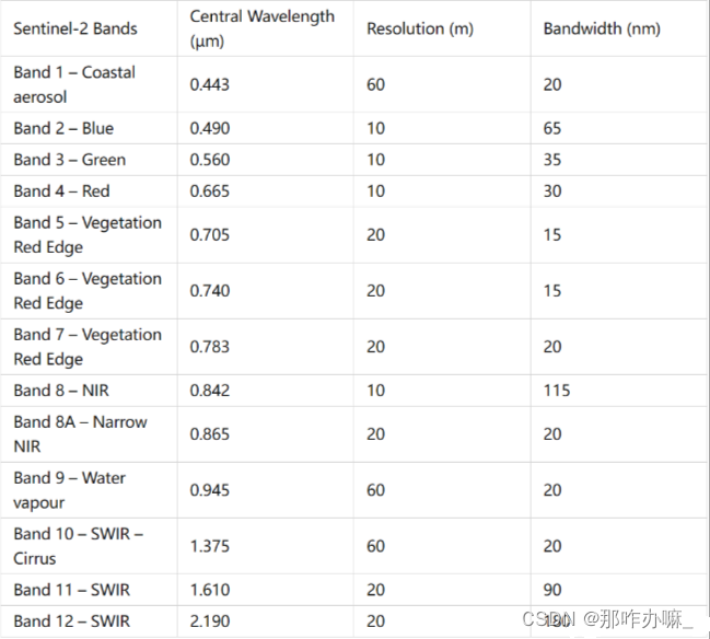 Sentinel Size Chart Sentinel-2影像下载及处理流程_sentinel2分辨率-CSDN博客