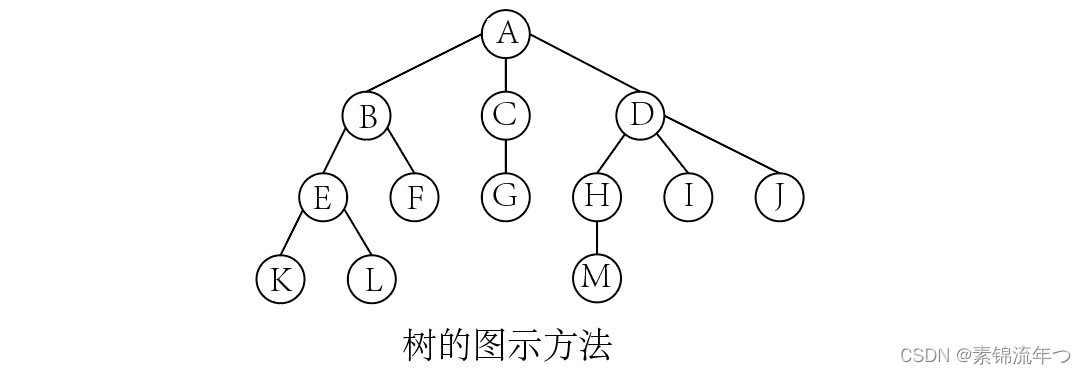 树的表示方法