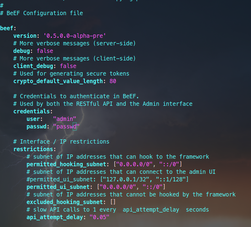 CentOS installation beEF do XSS platform - Programmer Sought