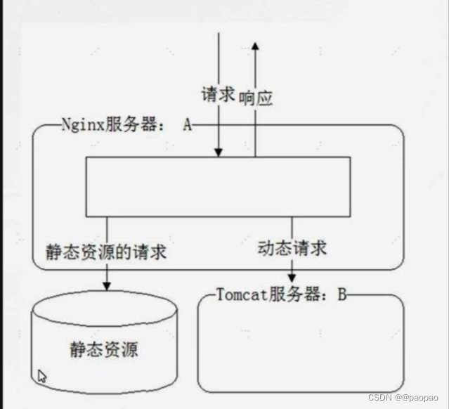 深入了解Nginx：高性能的开源Web服务器与反向代理