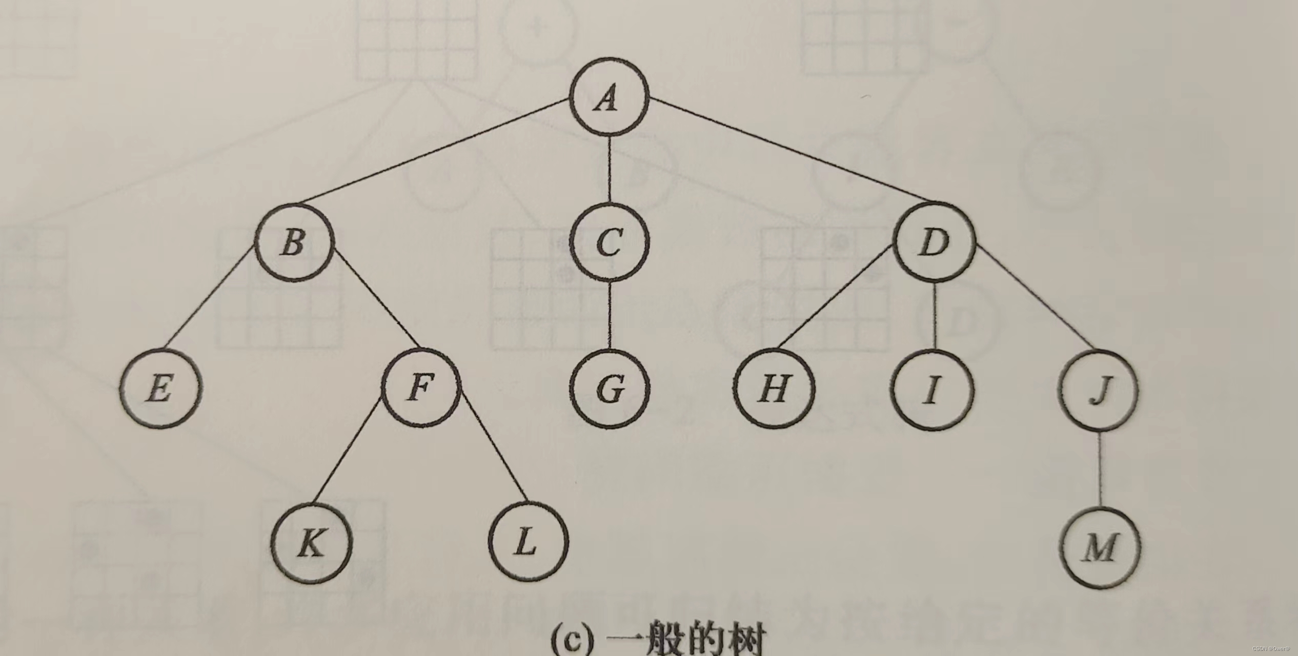 非线性结构——树(一)_二叉树insertchild-CSDN博客