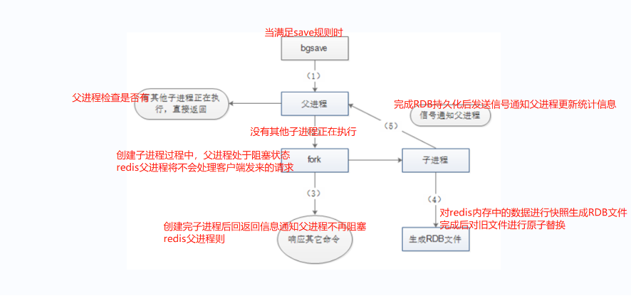 Redis 数据库的高可用