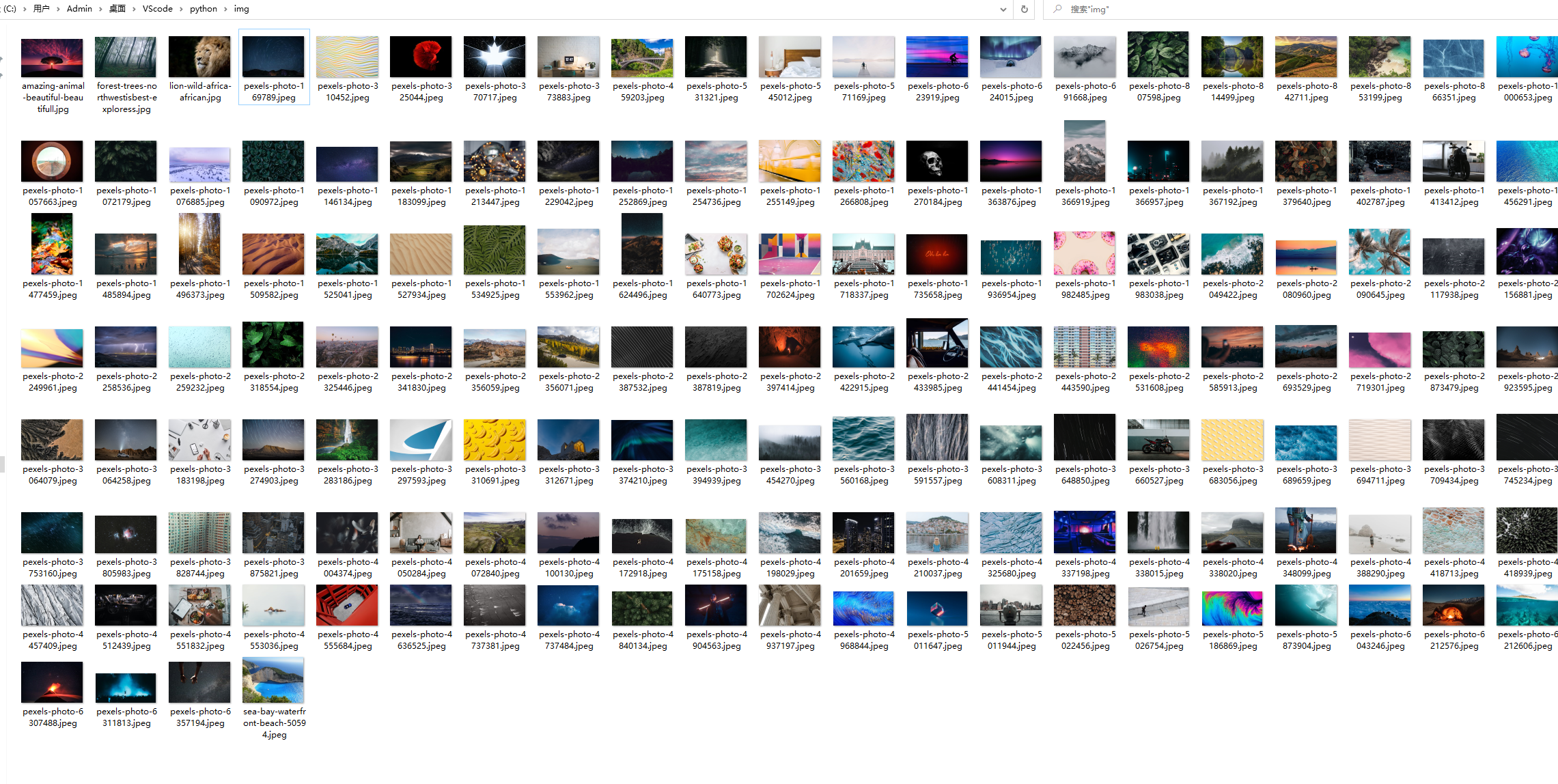 3.0 综合项目实践 python爬取pexels高清壁纸-CSDN博客