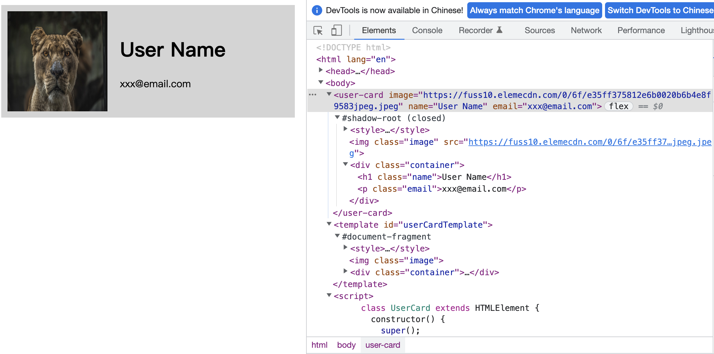 js：入门web component