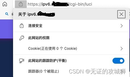 远程ipv6域名访问的效果