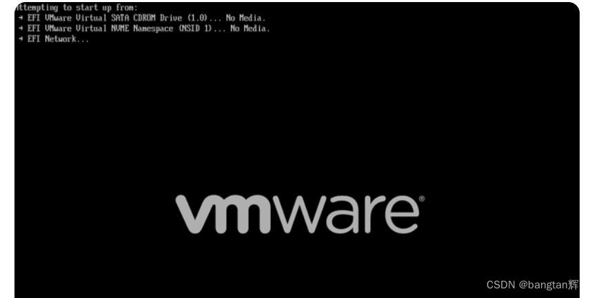 VMware安装启动windows虚拟机出错 efi vmware virtual ...... No media