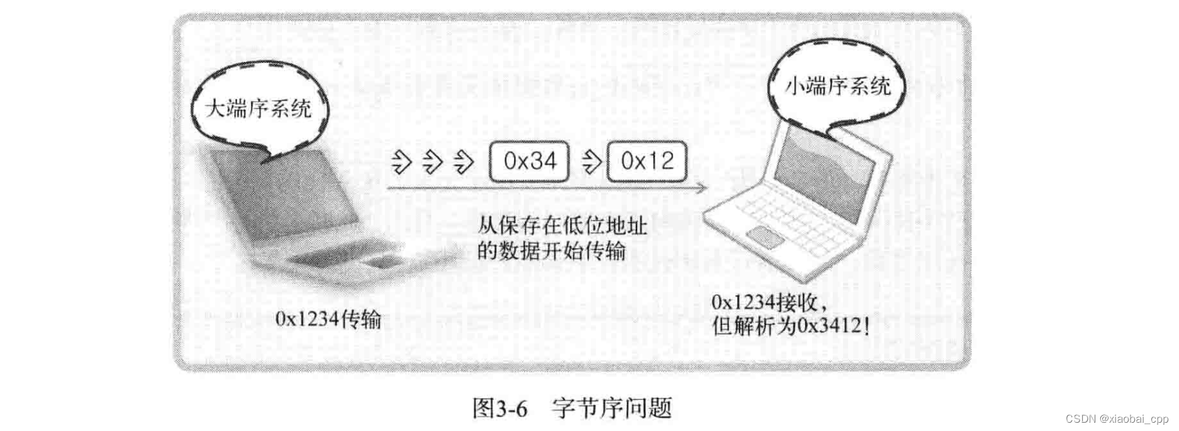 地址族和数据序列