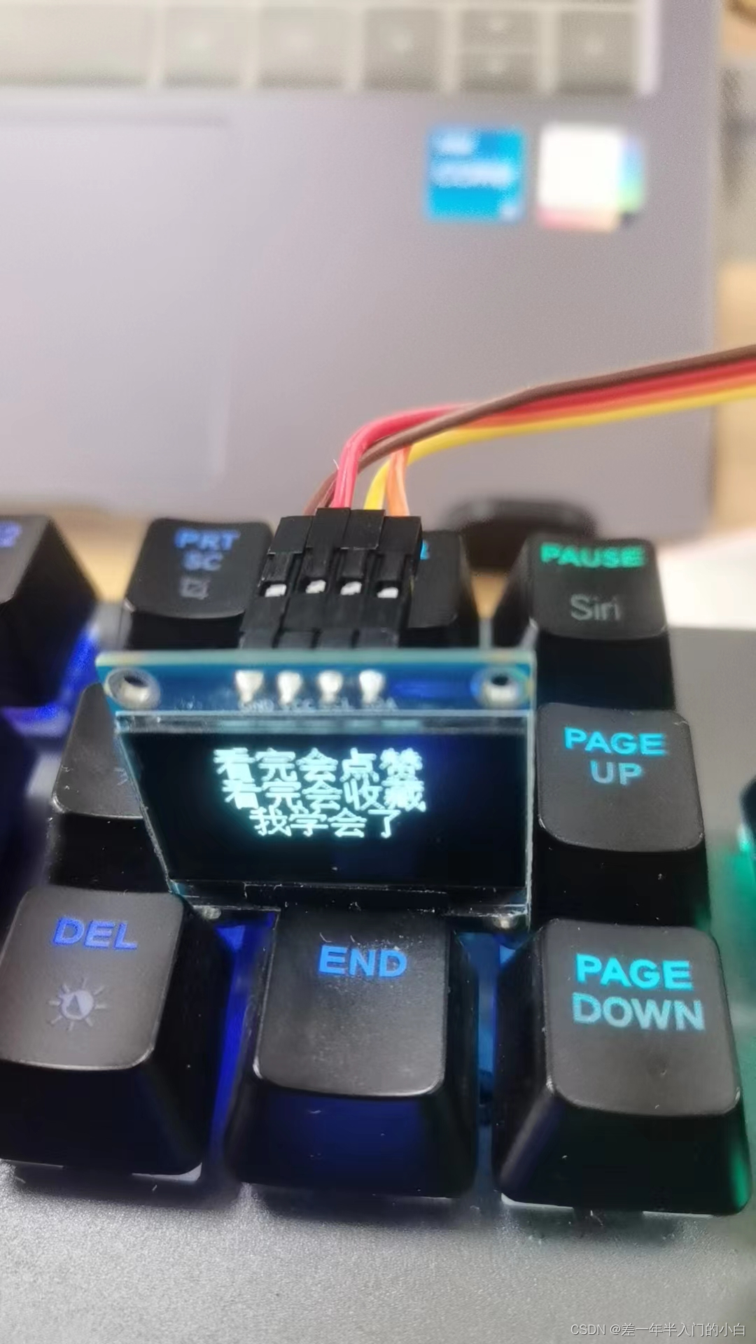 Oled csdn 