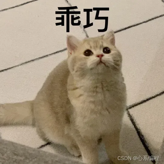 乖巧猫猫求看完