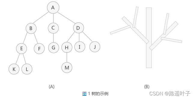 【数据结构】树的定义、树的存储结构