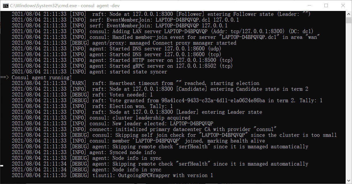 Install consul in Windows Environment - Programmer Sought