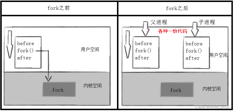 fork函数