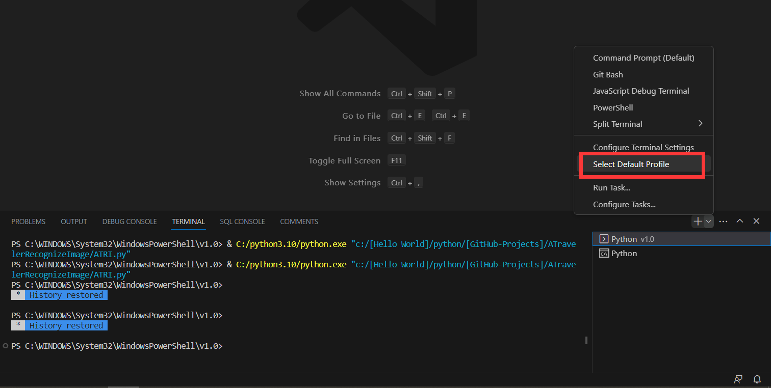 使用py的os.getcwd命令时，获取到的py路径总是为C:\WINDOWS\System32\WindowsPowerShell ...