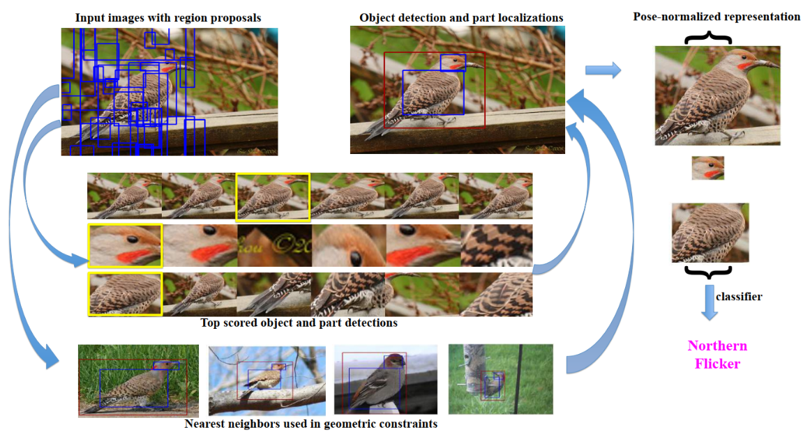 Bilinear CNN Models for Finegrained Visual RecognitionCSDN博客