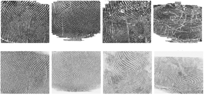 epidermis and dermis fingerprints