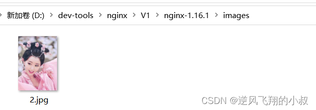 nginx 设置资源请求目录