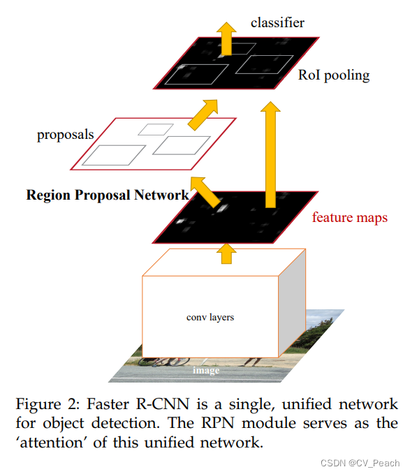 FasterRCNN的模型结构