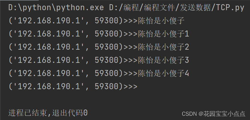 （十）Python网络编程