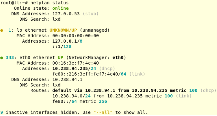 使用Netplan建立Linux网络，简便的声明性方法