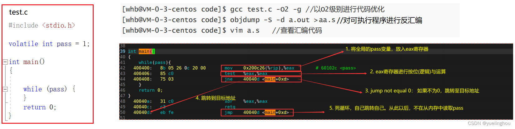 【C语言】volatile关键字