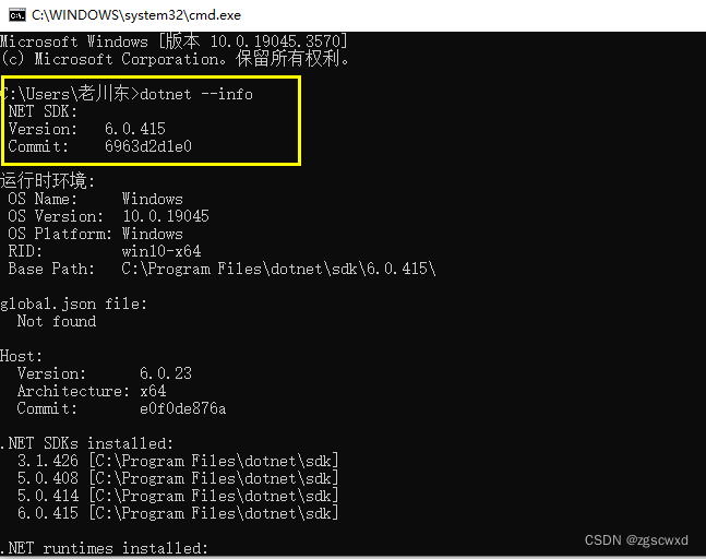 .Net Core 6 运行环境手动安装流程