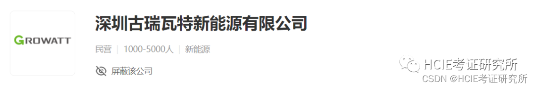 网工内推 | IT主管、高级网工，上市公司，必须持有HCIE认证