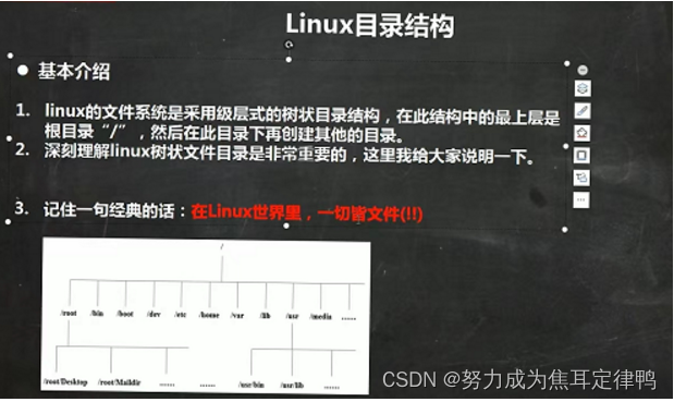 Linux:1.linux文学常识+2.安装VM和Centos+3.linux三大分区+4.网络连接三模式+5.虚拟机的克隆+6.安装 ...