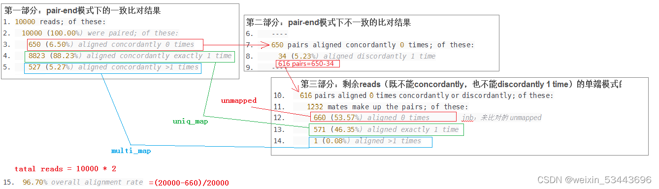 hisat2比对结果图文解析