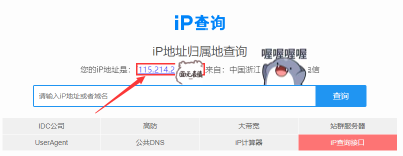 怎么查询公网ip