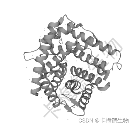 补体C3/C4（C3/C4）介绍