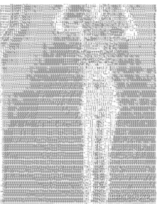 python 抖音视频转字符画 GIF