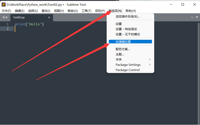 Sublime Text4安装教程