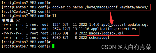 复制容器内的 application.properties 和 nacos-logback.xml 文件到主机的 /mydata/nacos/conf 目录