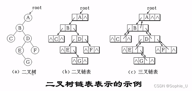 第六章：数据结构与算法-part2:数据的存储结构