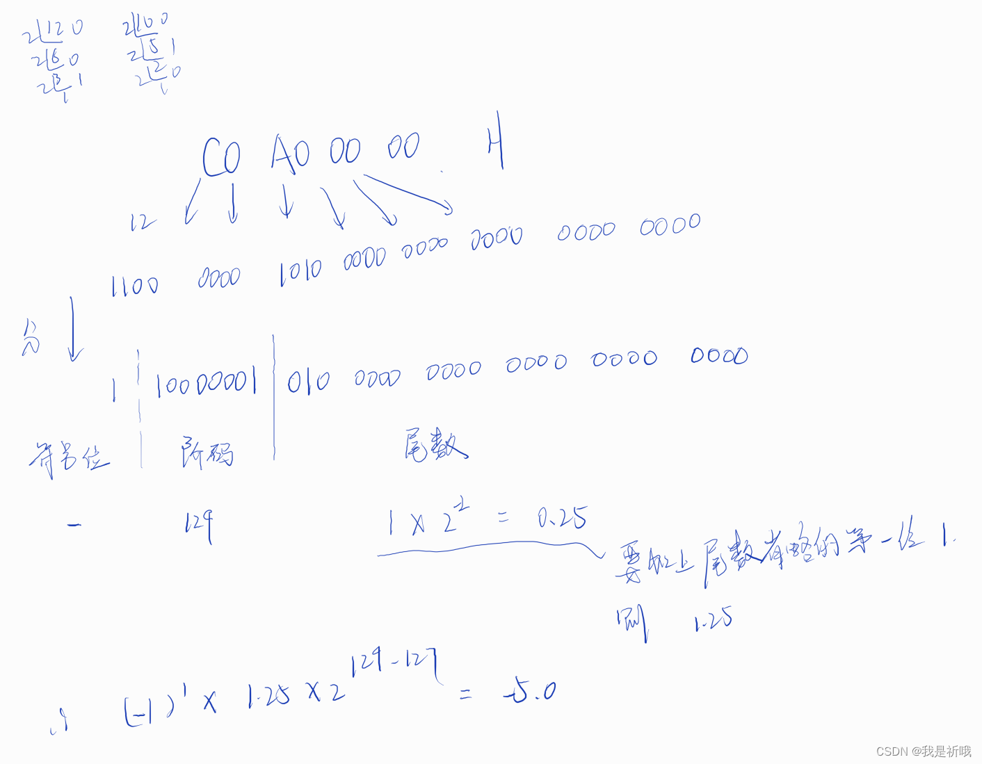 Floating Pinpoints 计算机组成圆原理 数据的机器级表示总结_ibm370短浮点格式-CSDN博客