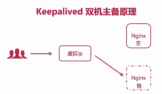 keealived安装配置启动