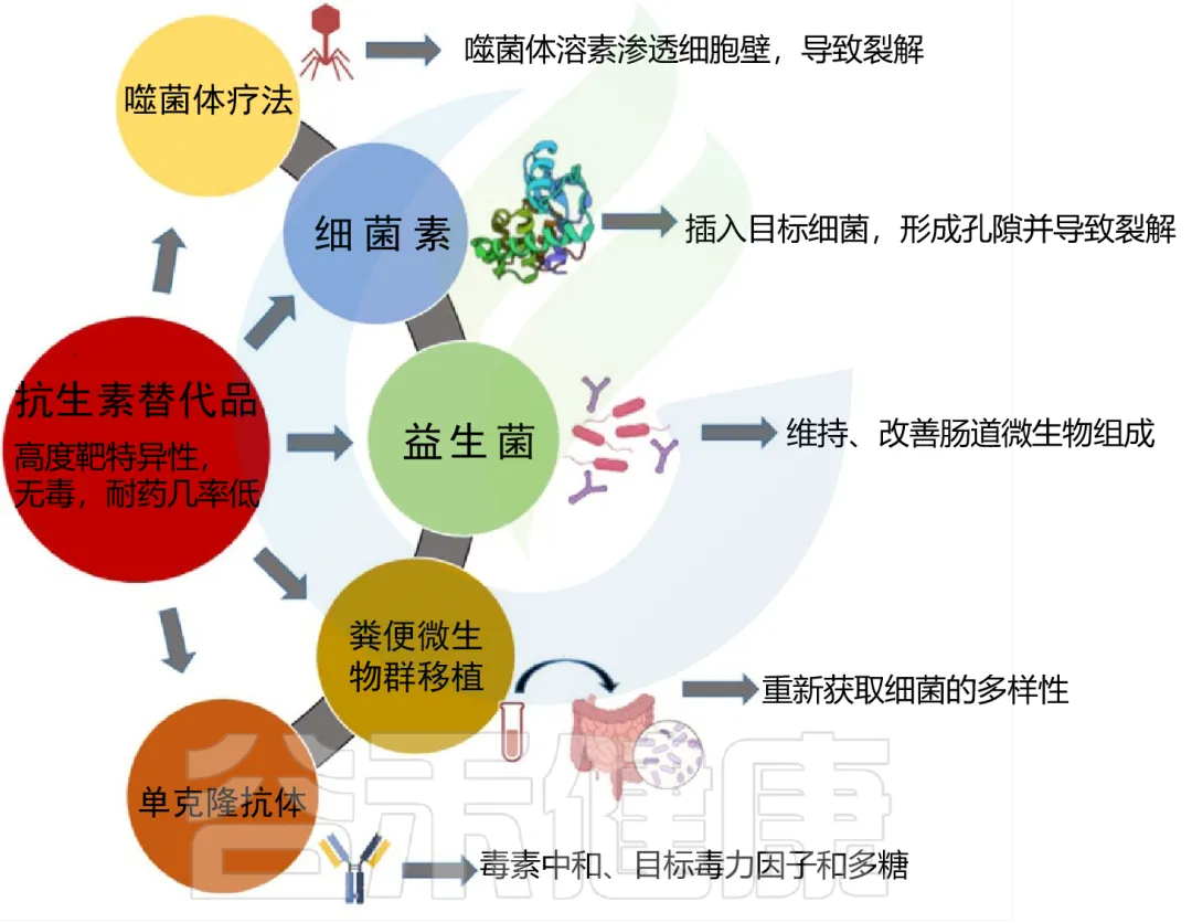 抗生素对微生物组和人体健康的影响