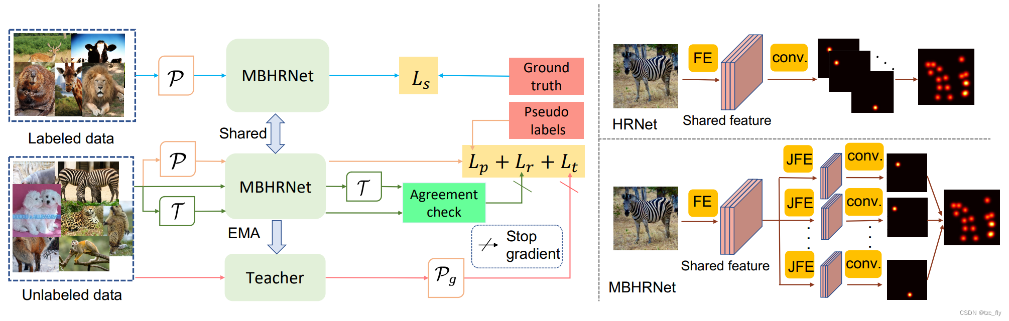 fig2