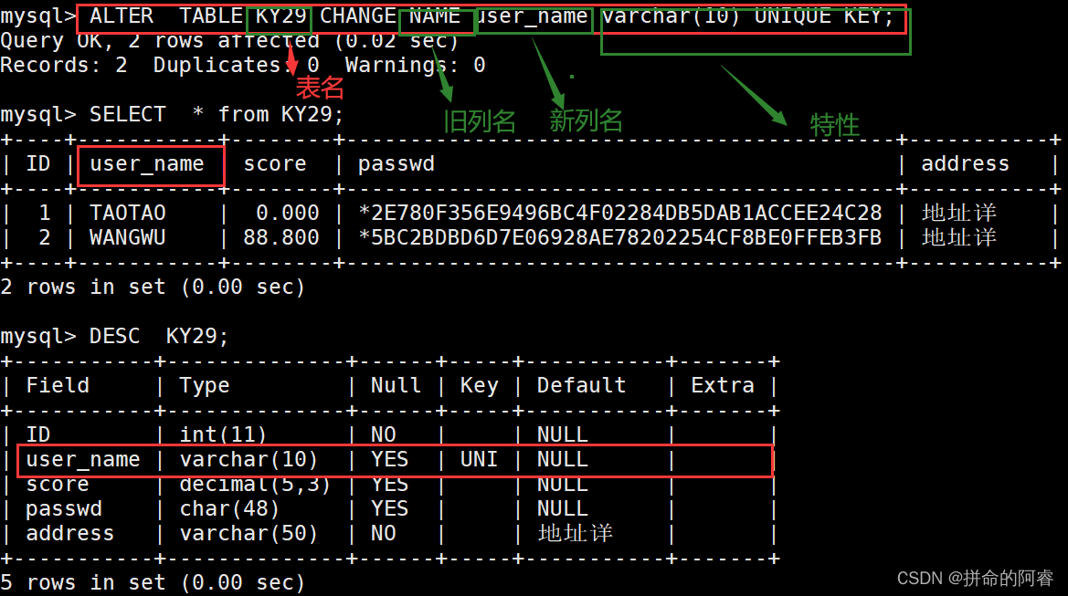 MySQL基础管理