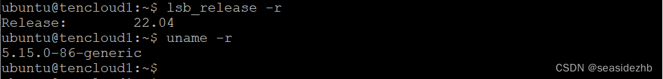 Ubuntu <span style='color:red;'>22</span>.04安装Go 1.<span style='color:red;'>21</span>.4<span style='color:red;'>编译器</span>