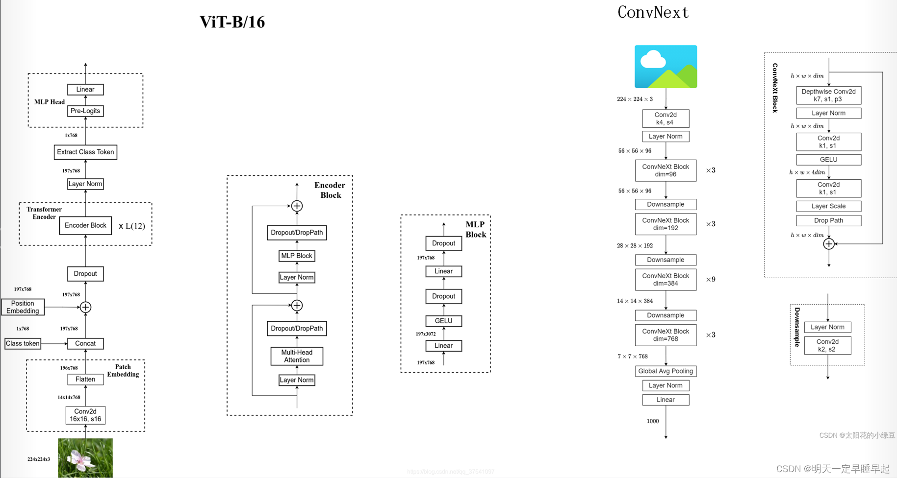 ConvNext笔记_convnext block-CSDN博客