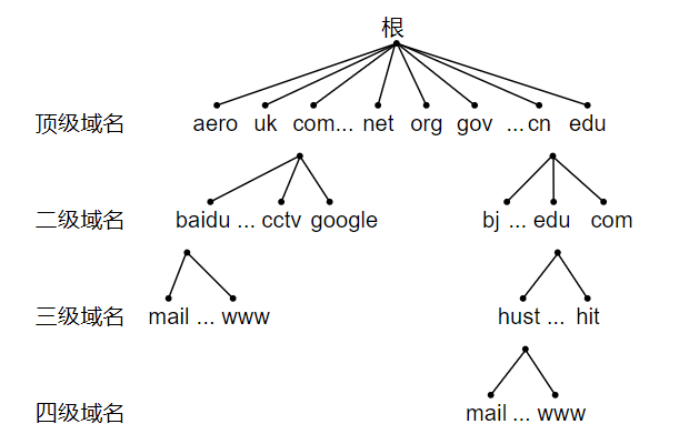 树形结构网络图片